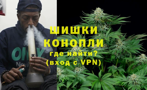 spice Инсар
