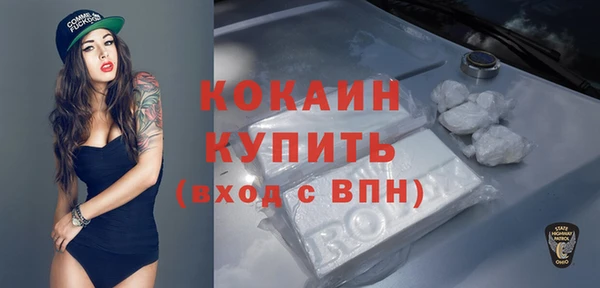 индика Коряжма