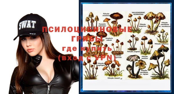 индика Коряжма