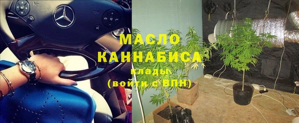 индика Коряжма