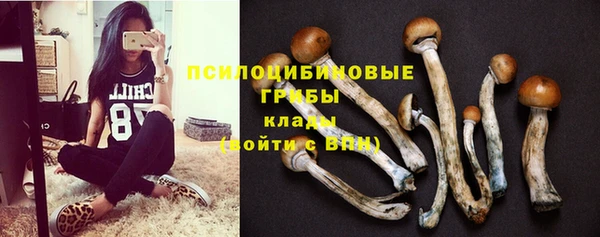 индика Коряжма