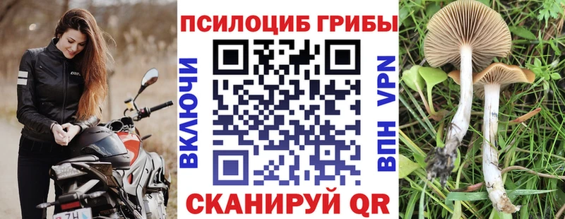 Галлюциногенные грибы ЛСД  Купить где  Красноуфимск 